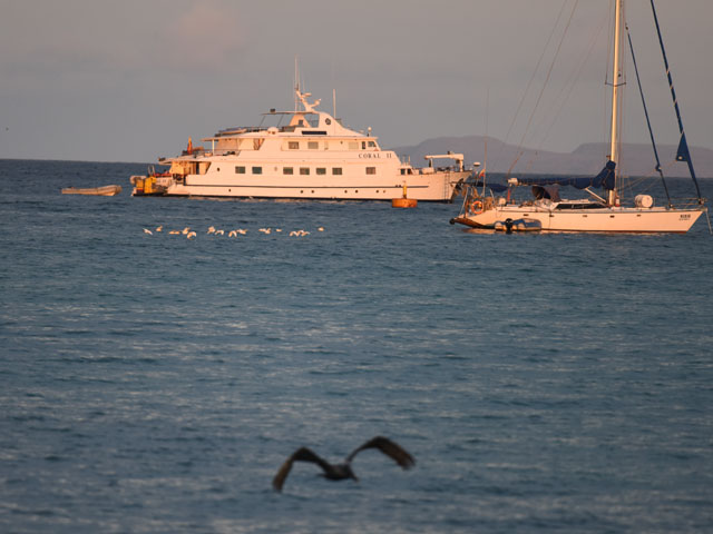 Santa Cruz島のPuerto Ayora