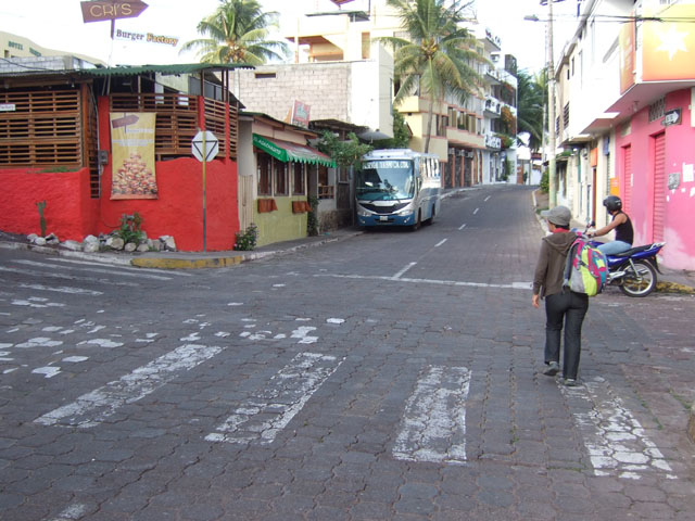 Puerto Ayoraの桟橋までは歩いて