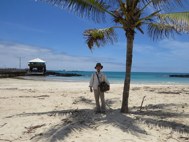 Sandy beach in the Isabela Island