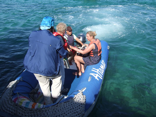 Santa Cruz ����Dock