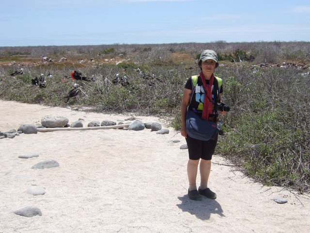 �O���J���h���̃R���j�[�ɓ��荞�񂾃z���T�s�G���X