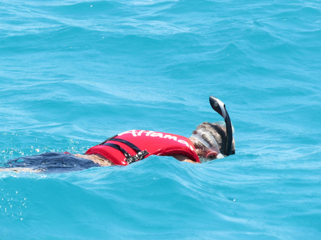 Bachas�C�݂ŃV���m�[�P�����O