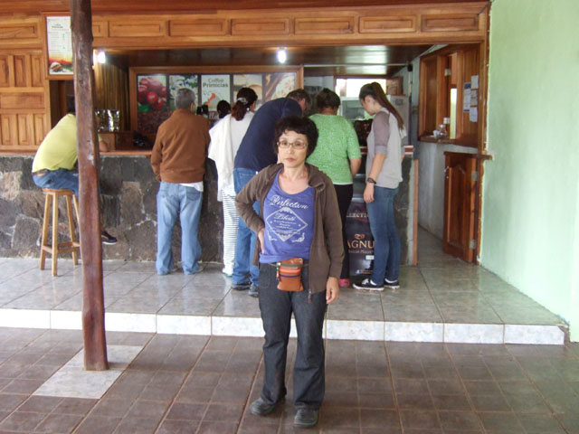 �T���^�E�N���X���]�E�K���琬�n