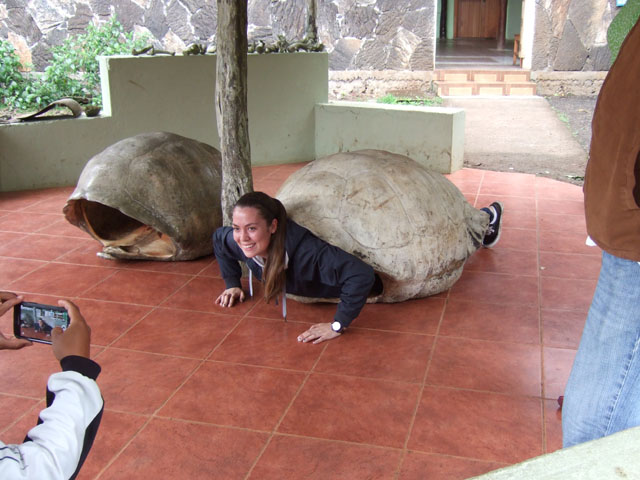 �K���p�S�X�]�E�K�� (Geochelone nigra)