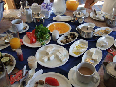 �z�e���̃V���A�����H