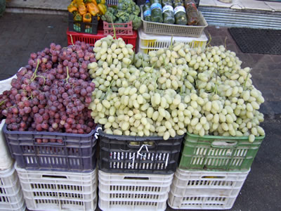 �A���r�A�ꌻ�n���C