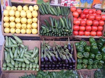 �A���r�A�ꌻ�n���C