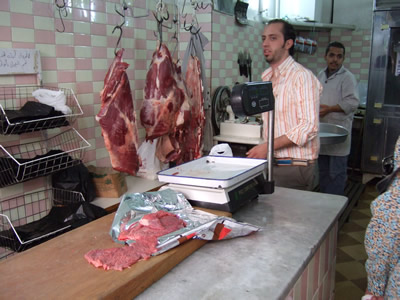 �A���r�A�ꌻ�n���C