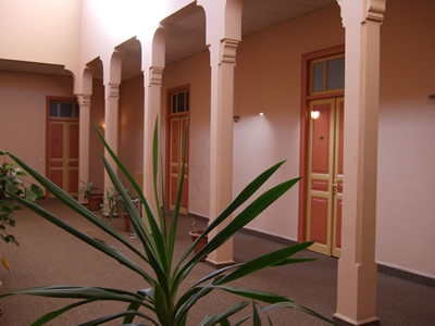 Lattakia�ɏZ���T��