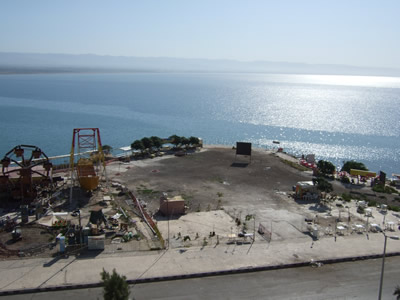 Lattakia�ɏZ���T��