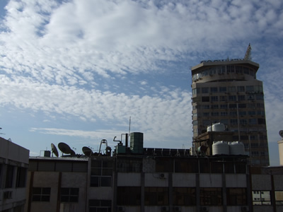 Lattakia�ɏZ���T��