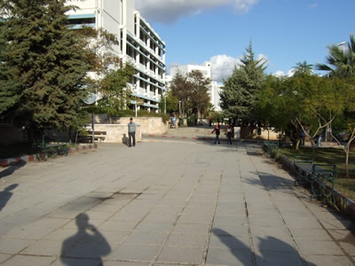Tishreen University in Lattakia City