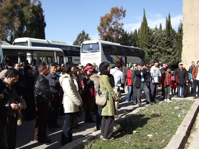 �N�l�C�g���s�S�����a�@