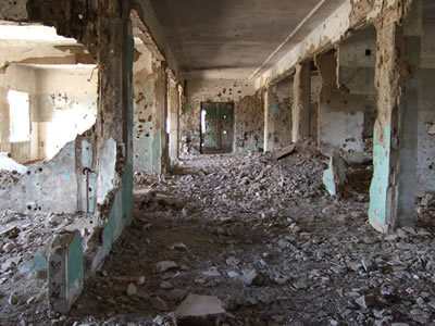 �N�l�C�g���s�S�����a�@