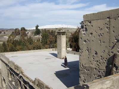 �N�l�C�g���s�S�����a�@