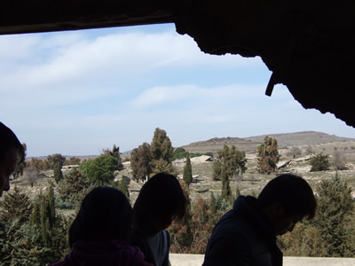 �N�l�C�g���s�S�����a�@