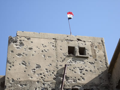 �N�l�C�g���s�S�����a�@