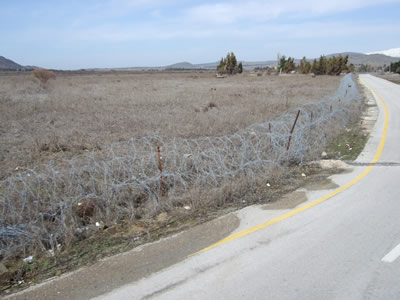 �N�l�C�g���s�n����