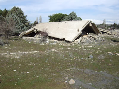 �N�l�C�g���s�j���