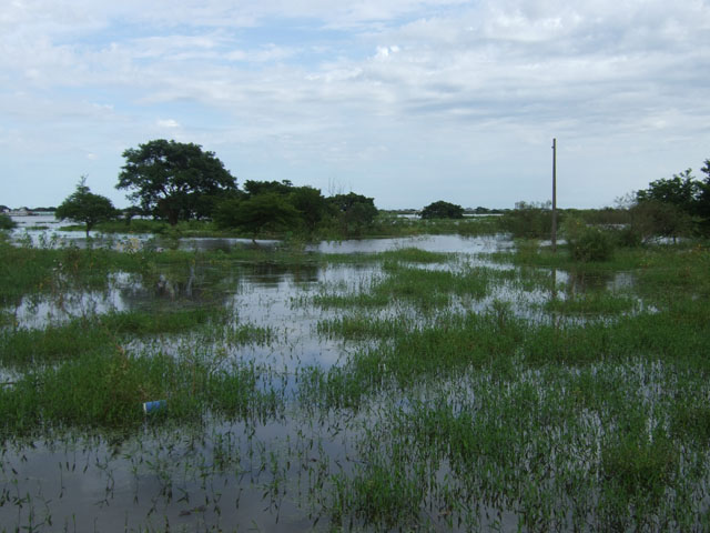 �΂̓s���� (Parque Capital Verde)
