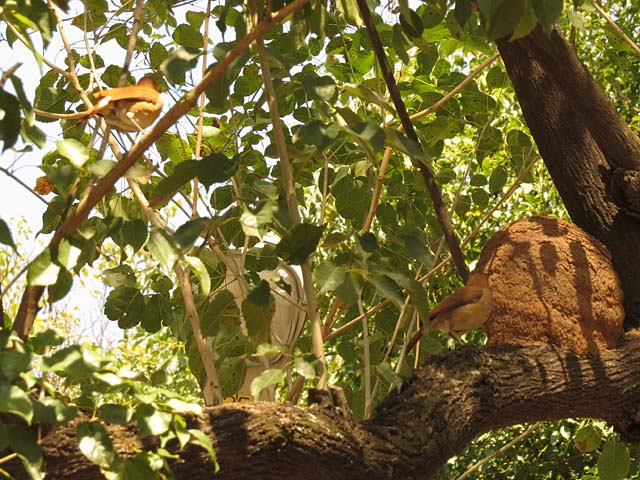 �J�}�h�h��2�H