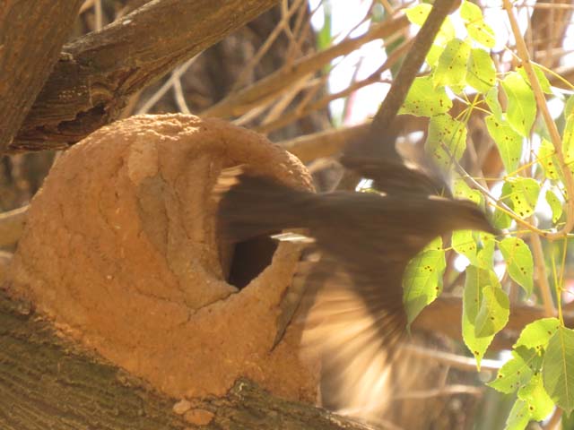 �J�}�h�h���̑�