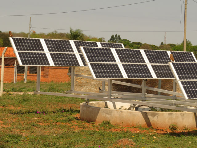 アナホリフクロウ, Aegolius funereus