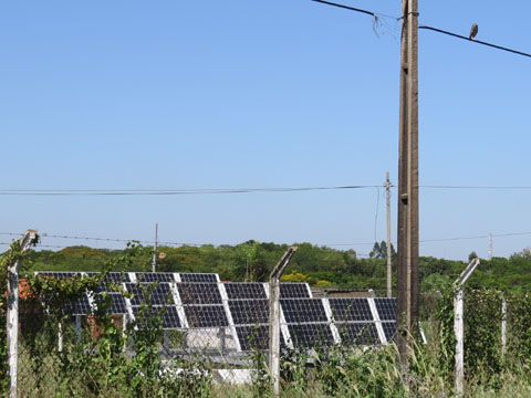 アナホリフクロウ, Aegolius funereus