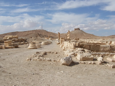 Palmyra